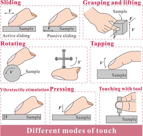 Overview of finger friction and tactile perception